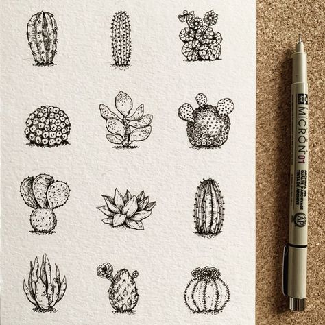 Succulent Drawing, Doodle Art Letters, Fineliner Art, Cactus Drawing, Ink Pen Art, Botanical Illustration Vintage, Plant Illustration, Love Drawings, Pen Art