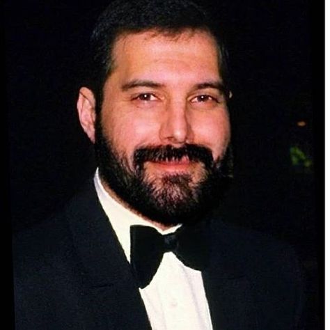 Freddie with a beard #freddiemercury #freediemercury #freddymercury #queenband #freddie #queen #rock #legends #legendsneverdie… Freddie Mercury Quotes, Fred Mercury, Vanessa Marcil, Freddie My Love, Mr Fahrenheit, Mr Bad, Freddy My Love, Live Aid, King Of Queens