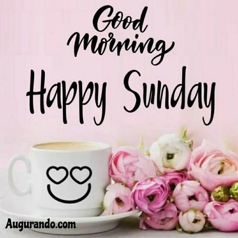 Happy Sunday Love, Morning Sunday Images, Saturday Greetings, Happy Sunday Images, Good Morning Sunday, Good Morning Sunday Images, Happy Sunday Morning, Sunday Morning Quotes, Sunday Wishes