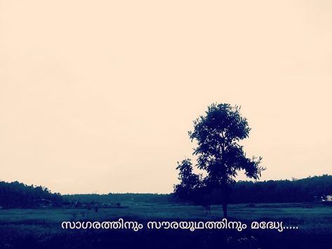 Malayalam quote Aesthetic photography Aesthetic Malayalam Captions, Malayalam Instagram Captions, Malayalam Aesthetic Quotes, Instagram Bio Short, Malayalam Aesthetic, Aesthetic Quotes Short, Iphone Wallpaper Vintage Retro, Instagram Captions Aesthetic, Captions Aesthetic