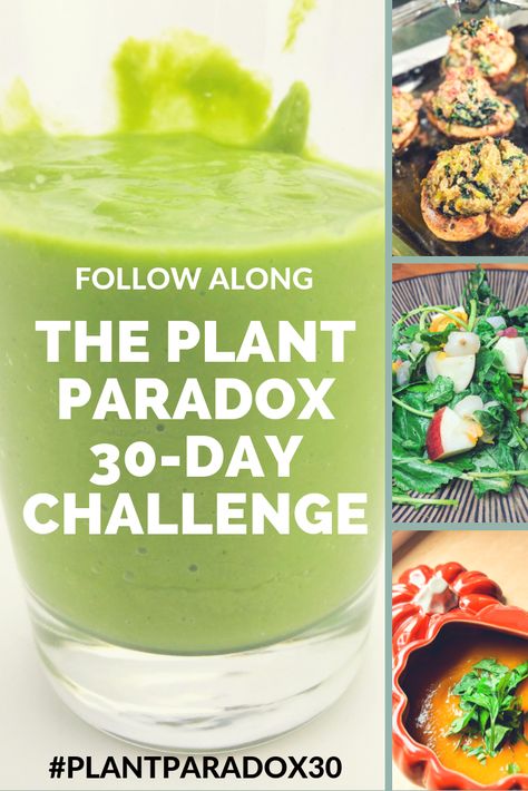 Follow along as I partake in the Plant Paradox 30-day challenge--Dr. Steven Gundry's lectin free, Plant Paradox diet challenge for the new year! Plant Paradox Food List, Dr Gundry Recipes, Shampoo Diy, Lectin Free Foods, Plant Paradox Diet, Lectin Free Diet, Lectin Free, Best Smoothie, Plant Paradox