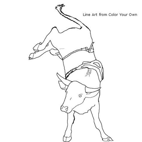 Bucking Bull Coloring Page Bull Coloring Page, Black And White Line Drawings, Bull Drawing, Nick Jackson, Bull Pictures, Pictures To Color, Cowboy Theme Party, Bucking Bulls, Cowboy Stuff