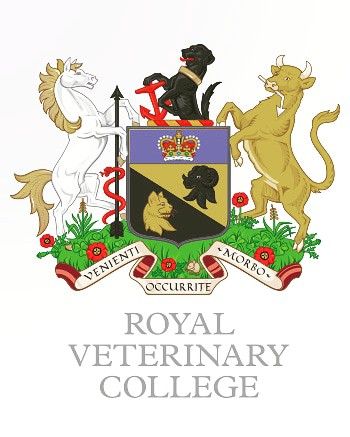 Veterinary Nursing, Mitral Valve, Vet School, Heart Projects, Cat Water Fountain, Drinking Fountain, Water Fountains, Pet Friendly Hotels, Veterinary Medicine