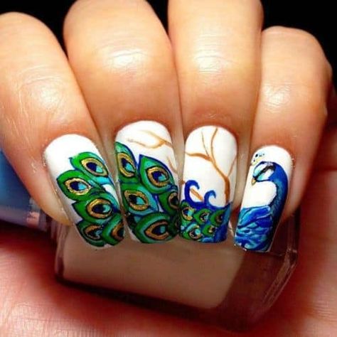 Easy Nail Art Designs and Nail Art Pics Peacock Nail Designs, Indian Nail Art, Peacock Nail Art, Peacock Nails, Indian Nails, Kids Nail Polish, Feather Nails, Nagellack Trends, Nail Art Pictures