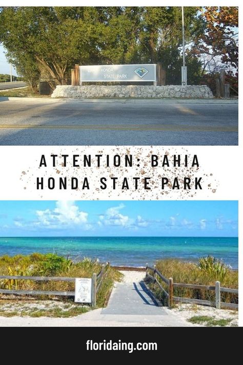 There’s no question that Bahia Honda State Park is one of the most beautiful places in Florida. With its sandy beaches, lush vegetation, and clear waters, it’s easy to see why this spot is so popular. However, there are a few things to keep in mind before you visit. A mile-long sandy beach is your next destination at Bahia Honda State Park. You can swim and snorkel from here. Bahia Honda State Park, Places In Florida, Things To Keep In Mind, Rv Camping, Florida Keys, Sandy Beaches, Most Beautiful Places, State Park, Snorkeling