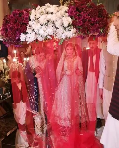 Pakistani Bride on Instagram: “Wedding entrance inspo 😍😍😍 This bride looks stunning ✨ Video: @irfanahson ✨ #pakistanibride #pakistaniwedding #asianwedding #desiwedding…” Bride Entry Pakistani Wedding, Pakistani Bride Entry, Bride Entrance Ideas, Nikkah Entrance, Bride Video, Nikkah Ideas, Bride Entrance, Nikkah Decor, Nikkah Brides