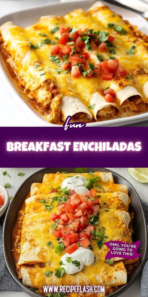 Looking for a delicious way to kickstart your morning? Our Breakfast Enchiladas Recipe packs flavor and nutrition into every bite! You’ll find a simple method for a satisfying breakfast that the whole family will love. Don’t forget to save this for your next brunch inspiration! Quick Breakfast Casserole Recipes, Quick Breakfast Casserole, Breakfast Enchiladas Casserole, Healthy Filling Breakfast, Unique Breakfast, Breakfast Enchiladas, Brunch Inspiration, Breakfast Cookies Healthy, Enchiladas Recipe