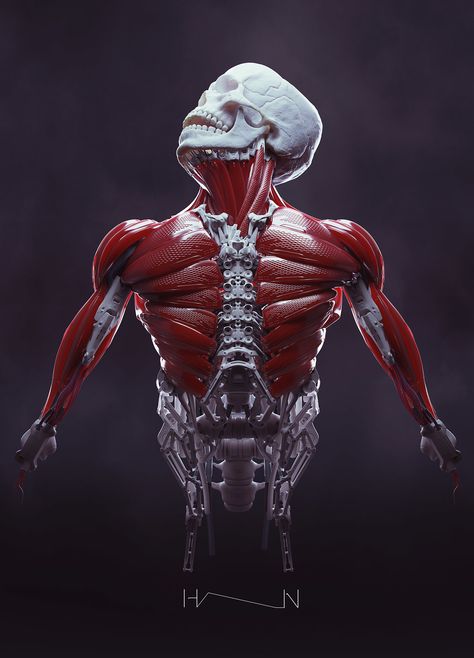 Our body will change in the near future. We will have a synthesis (radical and hard) between organic and non- organic. Cyborgs Art, Humanoid Robot, Arte Robot, Near Future, Robot Design, Robots Concept, Ghost In The Shell, Robot Concept Art, Ex Machina