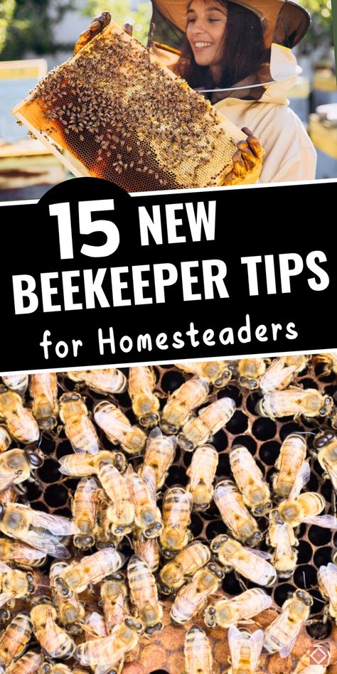 Bee-ready with these 15 beekeeping tips for beginners on the homestead! This guide covers all the basics, from choosing the right hive location to managing bee health and harvesting honey. Great for new beekeepers, these tips make it easy to set up and care for a productive hive. Save this pin to learn about backyard beekeeping and keep your bees happy and healthy all season. Small Bee Hive, Bee Keeping For Beginners Backyards, Raising Bees For Beginners, Beekeeping Aesthetic, Bee House Diy, Bee Keeping For Beginners, Bee Skep House, Diy Bee Hive, Bee Garden Design