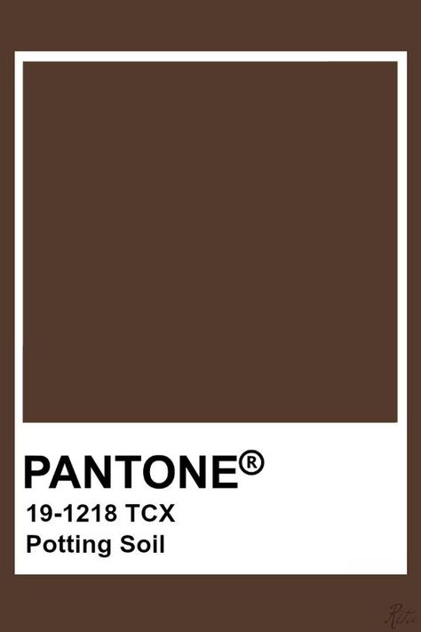 Potting Brown Pantone Shades, Shades Of Brown Pantone, Brown Colour Pantone, Soil Color Palette, Brown Pantone Palette, Pantone Colors Brown, Pantone Brown Shades, Dark Brown Pantone, Pantone Cafe