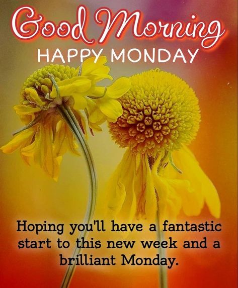 Good Morning Monday Quotes Positivity, Good Morning Happy Monday New Week, Monday Blessings New Week Good Morning, Good Morning Monday Blessings, Monday Morning Blessing, Happy Monday Images, Good Morning Monday Images, Monday Images, Good Morning Monday