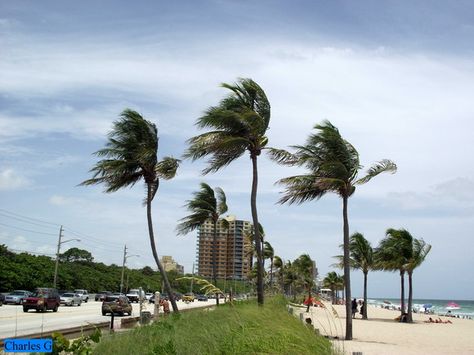 windy Windy Day Pictures, Edit Capcut, Beach Photo, Windy Day, Gone With The Wind, Day At The Beach, Planet Earth, Beach Photos, The Wind