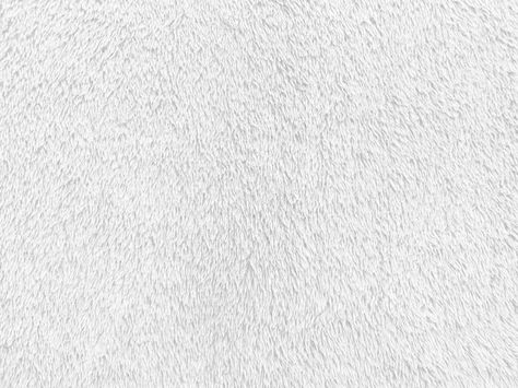 White clean wool texture background. light natural sheep wool. white seamless cotton. texture of fluffy fur for designers. close-up fragment white wool carpet. White Rug Texture, White Cloth Texture, White Carpet Texture, White Fur Carpet, White Fabric Texture Patterns, White Fur Background, White Fluffy Rug Background, Carpet Texture Seamless, White Fabric Texture