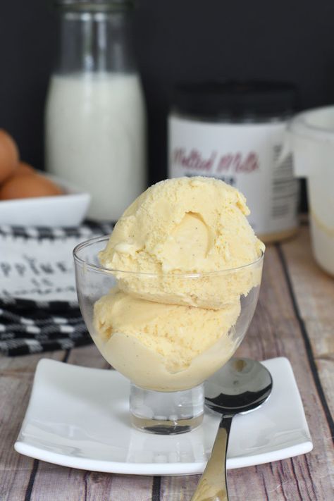 Vitamix Nicecream, Malt Ice Cream Recipe, Malted Milk Recipes, Malt Ice Cream, No Egg Ice Cream Recipe, Creami Deluxe Recipes, Buttermilk Ice Cream, Healthy Popsicles, Making Homemade Ice Cream