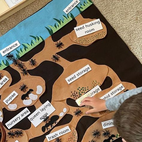 Montessori Inspired | Homeschool Mom | Laura on Instagram: "🐜 The ants go marching… 🐜  The boys were SO excited to get started with our felt ant colony from @twigndaisy. In fact, my 6-year-old found it in the classroom on Sunday and assembled all of the felt pieces.  We started our day by reading some books on ants before heading to this big beautiful mat! You can actually hang it on the wall, but we have a ton of figures to play with, so I decided to stick with the floor today.  We looked at all of the rooms and talked about their functions. My 6-year-old places they felt-backed labels on each room.  We read some fascinating facts about ant hills and their different rooms with cards from @handsonkidsactivities that I made into a booklet. We also referenced the ant hill diagram as we wor Ant Activity For Kids, Ant Hill Craft, Ant Craft, Ant Unit Study, Ant Habitat, Ants Activities, Ants In House, Ant Hill, Ant Crafts