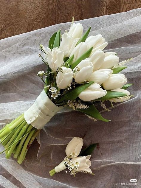 Bride Tulip Bouquet, Tulip Bride Bouquets, Wedding Flowers With Tulips, Tulips Hand Bouquet, Bridal Bouquet Tulips, Wedding Bouquets Tulips, Tulips Bridal Bouquet, Tulip Bridesmaid Bouquet, Tulip Wedding Bouquet