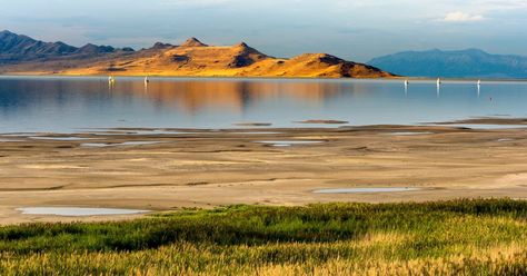 Antelope Island Utah, Utah Activities, Utah Fall, Utah State Parks, Great Salt Lake, Antelope Island, Visit Utah, Utah Photography, Mountain Bike Trails