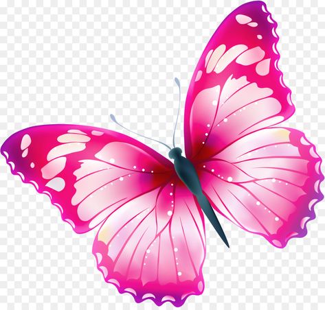 Butterflies On Flowers Drawings - Clipart Best F23 Greta Oto, Pink And White Butterfly, Orange And Black Butterfly, Purple Butterfly Tattoo, Floral Backgrounds, Book Clip Art, Cartoon Butterfly, Butterfly Background, Simple Butterfly