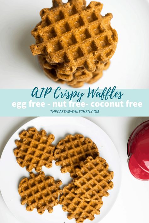 Not gummy, not chewy, these Crispy AIP Waffles are the real deal. Whip out your mini waffle maker and your tigernut flour and fall in love! Coconut and cassava free and egg free too! Aip Waffles, Aip Baking, Crispy Waffles, Green Banana Flour, Tigernut Flour, Aip Breakfast, Mini Waffle Maker, Banana Flour, Beef Gelatin