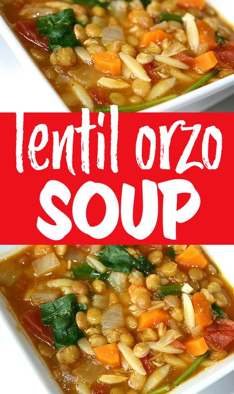 Orzo Spaghetti, Orzo Spinach Soup, Homemade Veggie Soup, Vegan Orzo, Soup Spinach, Orzo Spinach, Vegan Lentil Recipes, Garden Grazer, Spinach Vegan