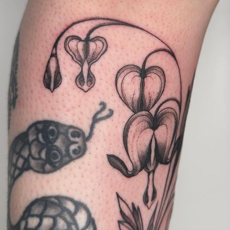 Bleeding heart to fill in some gaps 🌸 Heart Flower Tattoo, Chicago Tattoo, Hearts Tattoo, Tattoo Board, Underboob Tattoo, Tattoo Now, Plant Tattoo, Heart Flower, Plant Drawing