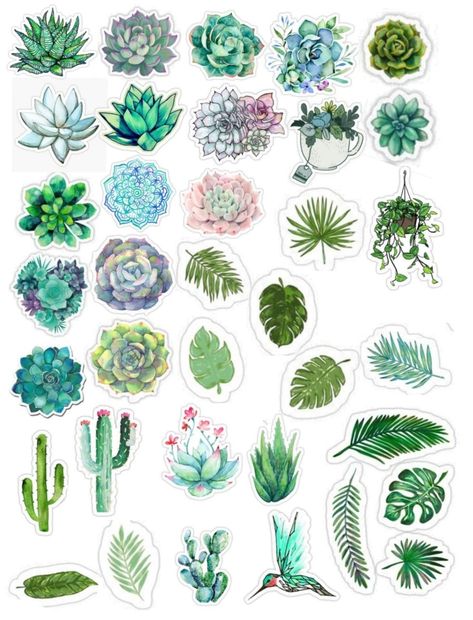 Plant Scrapbook Ideas, Nature Stickers Aesthetic, Nature Stickers Printable, Ide Jurnal, Vintage Paper Printable, File Decoration Ideas, Education Poster Design, Preppy Stickers, Scrapbook Printing