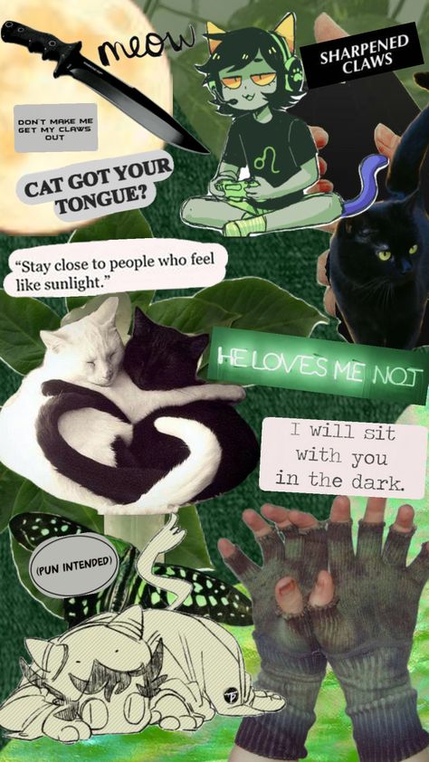 #homestuckwallpaper nepeta leijon wallpaper Homestuck Nepeta, Homestuck Wallpaper, Nepeta Leijon, Homestuck, Your Aesthetic, Connect With People, I Got This, Creative Energy, Puns