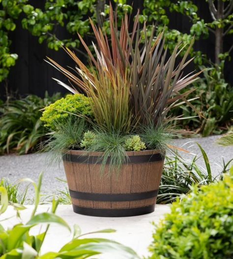 Whiskey Barrel Planter Flowers, Barrel Garden Ideas, Barrel Planter Ideas, Barrel Garden Planters, Wine Barrel Garden, Whiskey Barrel Planter, Wine Barrel Decor, Wine Barrel Planter, Plastic Planter