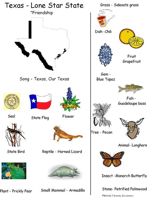 Texas Independence Day Printables | TEXAS INDEPENDENCE DAY-MARCH 2 THEMES, LESSONS, IDEAS, CRAFTS ... Texas Symbols, Texas Independence Day, Independence Day Wallpaper, Texas Crafts, Texas Theme, Kindergarten Social Studies, Louisiana Cajun, State Symbols, Loving Texas