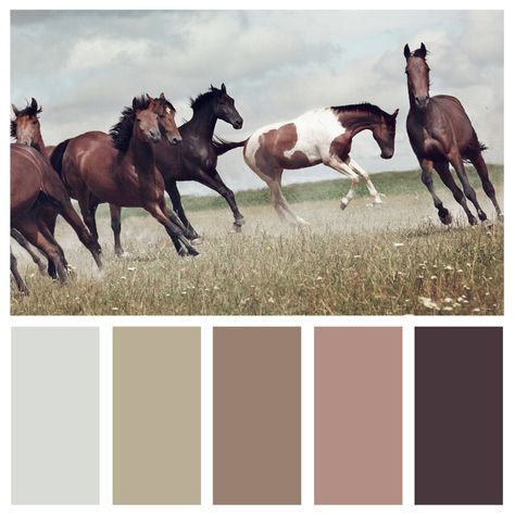 Bring soft tones of the west into your home with this neutral color pallete! #neutral #neutralstyle #home #horses #colorpalettes #color #trendy #naturelovers Wild West Colour Palette, Cowgirl Color Palette, Horse Color Palette, Western Color Scheme, Boho Western Bedroom, Western Color Palette, Glam Color Palette, Western Colors, Mobile Grooming