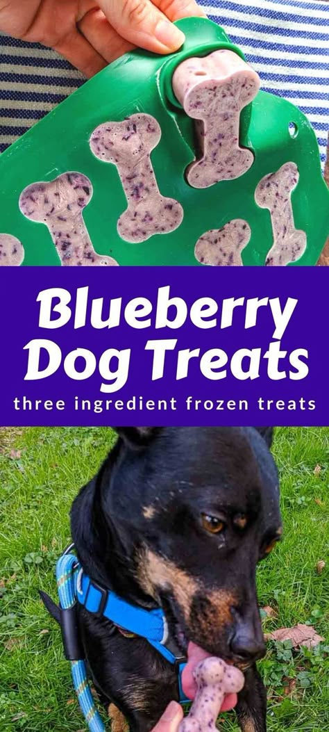 Puppy Ice Cube Treats, Diy Frozen Dog Treats Ice Cubes, Ice Cube Dog Treats, Dog Treats Mold Recipes, Frozen Dog Treats Homemade Ice Cube Trays, Fancy Dog Treat Recipes, Healthy Frozen Treats For Dogs, Frozen Dog Treat Molds, Dog Treat Molds