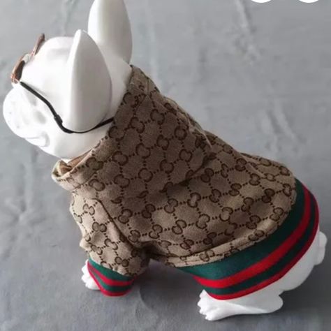 Cute Dog Outfits, Pitbull Clothes, Dog Shorts, Cute Dog Clothes, Puppy Stuff, Designer Dog Clothes, African Lace Dresses, Jacket Sweater, Luxury Dog