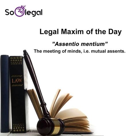 Lawyers Desk, Legal Maxims, Lawyer Desk, Law Girl, Academia Quotes, Law School Humor, Lawyer Quotes, Legal Studies, Law Notes