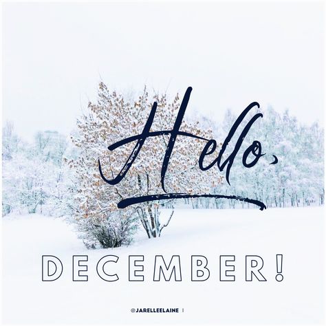 ❄️ Hello, December! ❄️ Chapter 12 of 12. May the last one, be the BEST one!  #HappyHolidays #AStarIsBorn #HelloDecember December Chapter 12 Of 12, Chapter 12 Of 12, Hello December, 12 December, A Star Is Born, Be The Best, Last One, Happy Holidays, Quick Saves