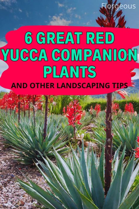 Red Yucca Companion Plants Red Yucca, Creative Landscaping, Low Water Plants, Log Planter, Arizona Gardening, Planting Guide, Yucca Plant, Short Plants, Companion Plants