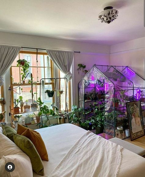 Lots Of Plants, Lovely Pic, Aesthetic Rooms, Dreamy Room, Bedroom Goals, Dream Room Inspiration, House Plant, Cozy Room, Room Inspiration Bedroom