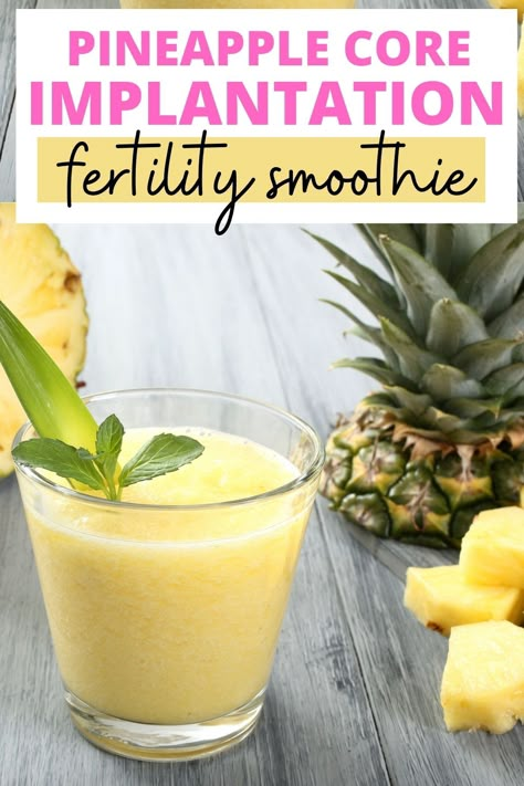 This pineapple core smoothie for fertility may help with implantation! Pineapple for fertility - pineapple core may help with implantation and boost your chances of getting pregnant in any given TTC cycle. Pineapple Core, Fertility Vitamins, Fertility Smoothie, Fertility Tips, Fertility Foods, Fertility Health, Fertility Diet, Chances Of Getting Pregnant, Get Pregnant Fast