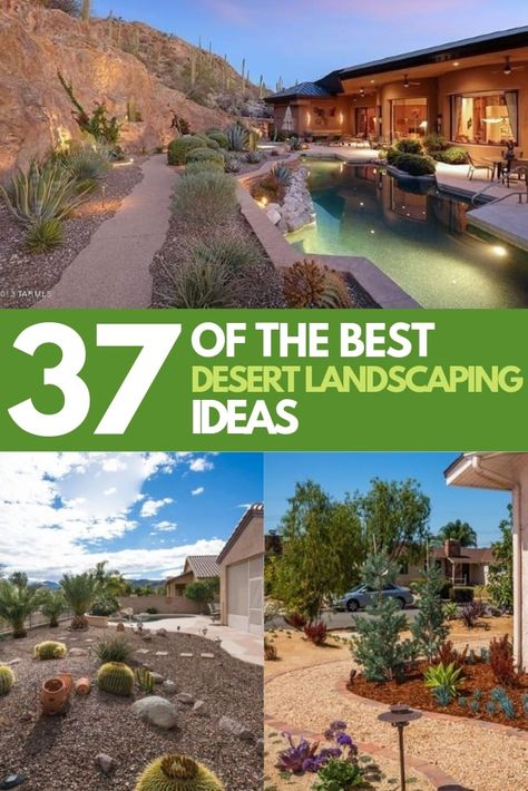 Front Yard Landscaping Desert Ideas, Desert Landscaping Front Yard Arizona Native Plants, Xeriscape Texas Front Yard, Dessert Backyard Ideas, Arizona Rock Landscaping, Front Yard Landscaping Ideas Desert, Arid Landscaping Ideas, Backyard Dessert Landscaping, Modern Desert Landscaping Backyards