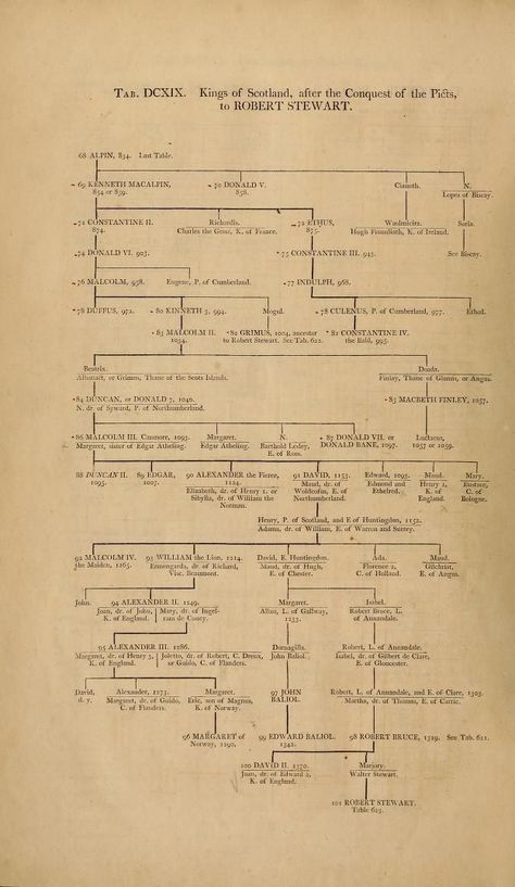 The Tudor Family, Royal Houses, Family Tree Research, Royal Family Trees, Genealogy Chart, Scotland History, Scottish Ancestry, Royal History, Family Tree Genealogy