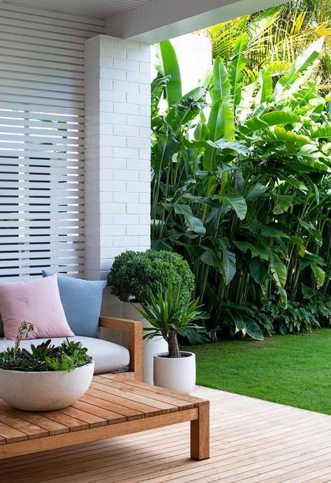 Australian Landscaping, Tropical Landscape Design, Tropical Garden Design, Tropical Backyard, Feature Walls, Backyard Inspo, Tropical Landscaping, Back Gardens, Pool Landscaping