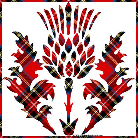 Colonsay Scotland, Scottish Quilt, Thistle Quilt, Scottish Unicorn, Scottish Poems, Mackay Tartan, Scottish Slang, Scottish Tattoos, Best Of Scotland