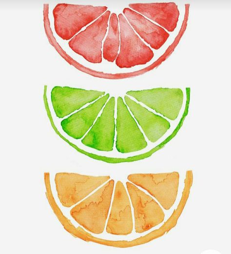 3 Colour Drawing, Watercolor Citrus Fruit, Fruit Easy Painting, Citrus Artwork, Orange Slice Painting, Cute Watercolour Painting, Citrus Drawing, Grapefruit Painting, Variety In Art