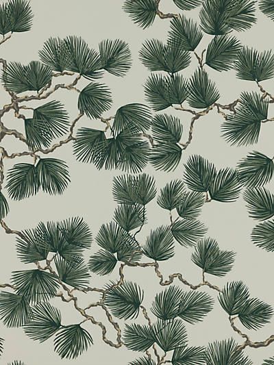 Pine Wallpaper, Sandberg Wallpaper, Pine Branch, Scandinavian Interior Design, Forest Wallpaper, Pine Green, Pine Forest, Notting Hill, Print Wallpaper