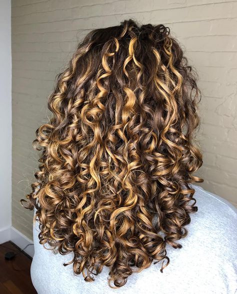 Rachael on Instagram: “Golden 🏅painted highlights @citycurlstudio” Caramel Hair Highlights, Curly Hair Pictures, Aveda Hair Color, Highlights Hairstyles, Caramel Blonde Hair, Painted Highlights, Dark Curly Hair, Aveda Hair, Highlights Curly Hair