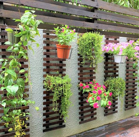 Garden Ideas India, Vertical Garden Pots, Vertical Succulent Gardens, Cucumber Trellis, Herb Wall, Trellis Ideas, Small Balcony Garden, Small Vegetable Gardens, Outdoor Trellis