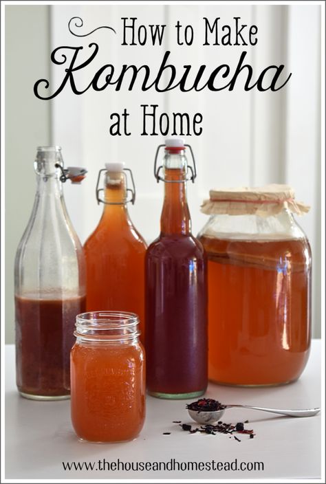 Kombucha is one of the healthiest drinks on the planet (besides water), but storebought kombucha is SO expensive! Learn how to make kombucha at home for a fraction of the price, plus get as creative as you like with custom flavours! Homemade kombucha is healthy, affordable, delicious and easy to make. Here's everything you need to know to get started! #homemadekombucha #howtomakekombucha #kombucharecipe Green Tea Kombucha, Make Your Own Kombucha, Diy Kombucha, Kombucha Recipes, Make Kombucha, Kombucha Benefits, Kombucha Flavors, Fermented Drinks, How To Brew Kombucha