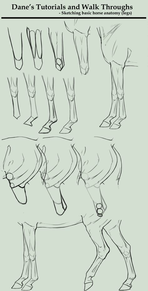 Horse Drawing Tutorial, Draw A Horse, Horse Art Drawing, Drawing Instructions, Horse Sketch, Horse Anatomy, Drawing Lesson, Horse Illustration, Horse Drawing