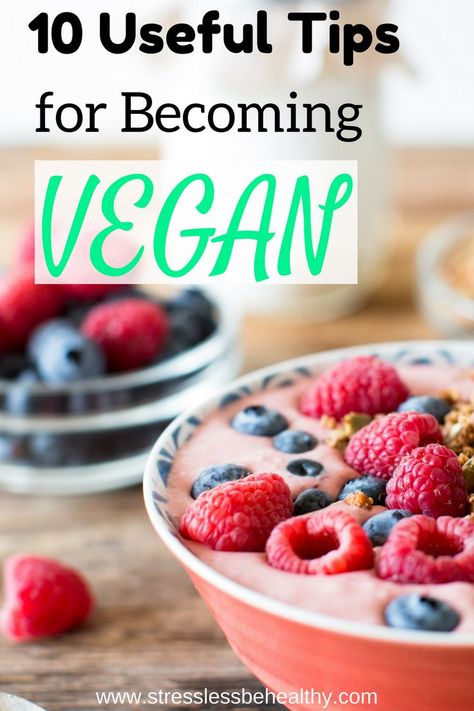 Have you ever tried to become vegan before? It can be difficult to change your lifestyle, whether to be completely plant based or vegan. Learn how to succeed with your journey to healthy eating with these 10 tips! Healthy Vegan Pancakes, Oatmeal Breakfast Bars Healthy, Becoming Vegan, Diy Healthy Snacks, Vegan Grocery List, How To Become Vegan, Vegan Guide, Vegan Living, Vegan Meal Plans