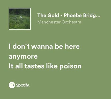 Calm Green, Songs That Describe Me, Relatable Lyrics, Meaningful Lyrics, Song Lyric Quotes, Spotify Lyrics, Lyrics Aesthetic, Me Too Lyrics, Just Lyrics