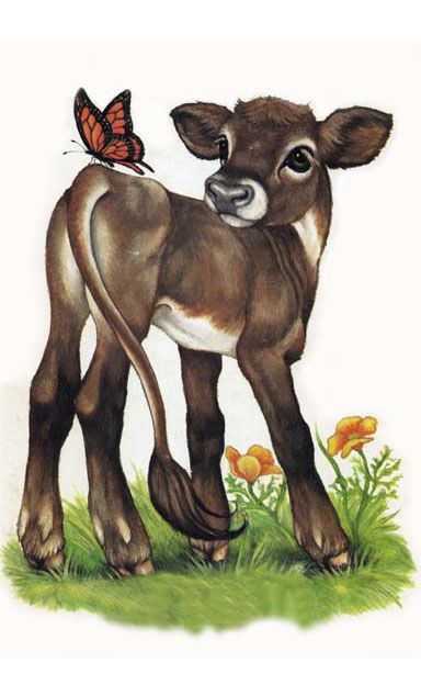 Beautiful cow illustration Robin James, Baby Cow, Cow Art, A Butterfly, Animal Drawings, Farm Animals, Animal Art, Baby Animals, Painting Ideas